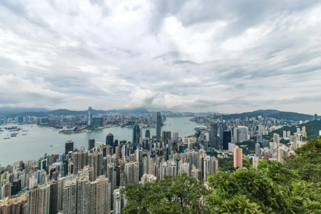 Hong Kong skyline, vatten, höghus och i förgrunden grönska